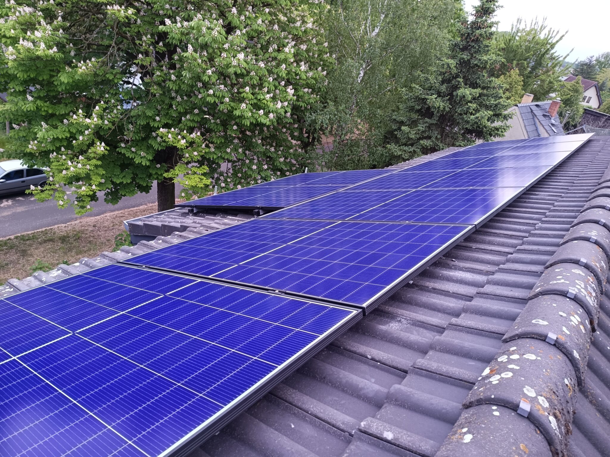 893f6bc6-7505-4700-a4b4-bf9cecab8639 (1)